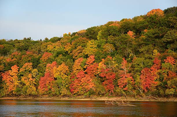 couleurs d’automne le long de la rivière sainte-croix - st croix river photos et images de collection