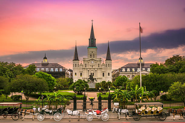 jackson square new orleans - kereta kuda ditarik kuda foto potret stok, foto, & gambar bebas royalti