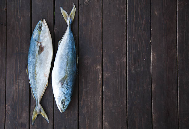 istock Fresh Fish on wooden background. Yellowtail Amberjack 564605602