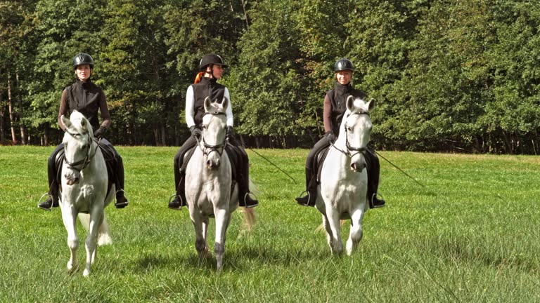 Three women riding on their white horses across a sunny meadow