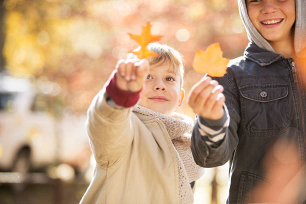 istock Boys holding golden autumn leaves 568518011