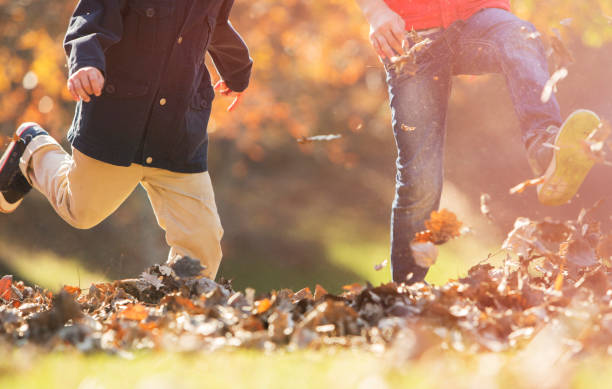 istock Playful boys kicking autumn leaves 568518105