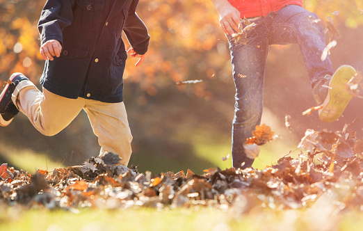 A small group of young school aged children play together in a pile of crisp fall leaves on an Autumn day.  They are each dresed warmly and are smiling as they toss the leaves in the air, burry themselves in large piles and jump in them for fun.