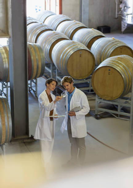 istock Vintners in lab coats examining wine in winery cellar 568518751