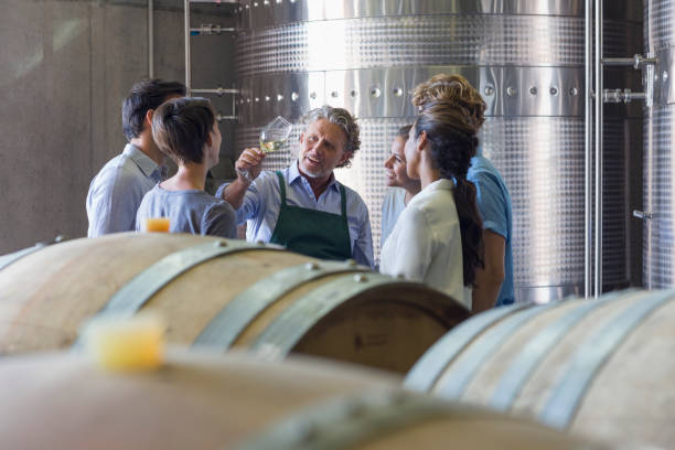 vintner and winery employees examining wine in cellar - estabelecimento vinicola imagens e fotografias de stock
