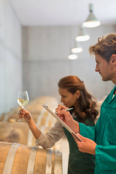 istock Vintners examining white wine in winery cellar 568518999
