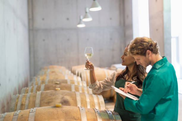 istock Vintners examining white wine in winery cellar 568519005