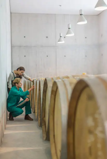 Photo of Vintners examining barrels in winery cellar