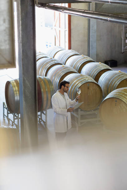 istock Vintner in lab coat examining white wine in winery cellar 568519171