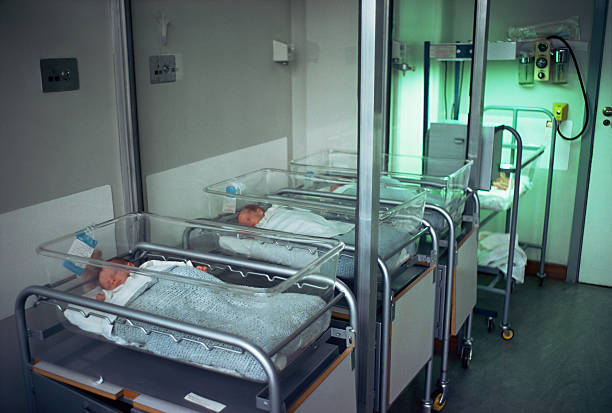 babies in special baby care unit - kuvös bildbanksfoton och bilder