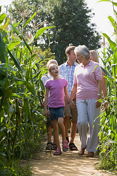 família caminhando entre plantas de milho - generation gap multi generation family vertical holding hands - fotografias e filmes do acervo