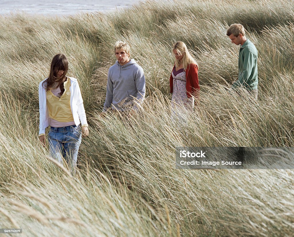 Group of friends walking through field  Adult Stock Photo