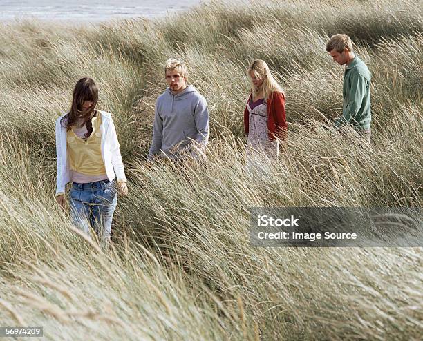 Group Of Friends Walking Through Field Stock Photo - Download Image Now - Adult, Adults Only, American Beachgrass