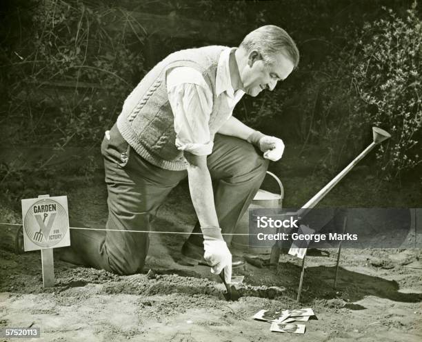 Hombre Maduro Trabajando En La Segunda Guerra Mundial World War Ii Victoria Jardín B P Foto de stock y más banco de imágenes de Anticuado