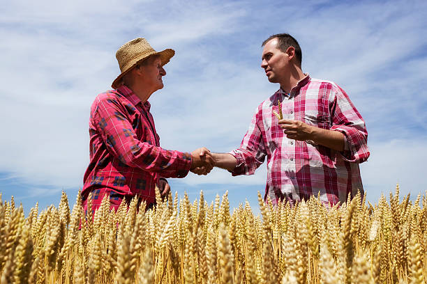istock Man shake with farmer and congrats farmer for good wheat 576547138