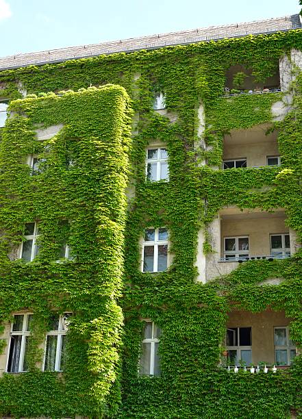 istock Urban House with Green Walls 576550296