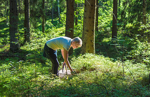 Woman picking berries Woman picking wild berries in natural park forest in Finland finnish culture stock pictures, royalty-free photos & images