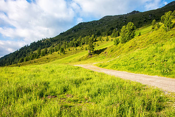 Hiking trail in the mountains