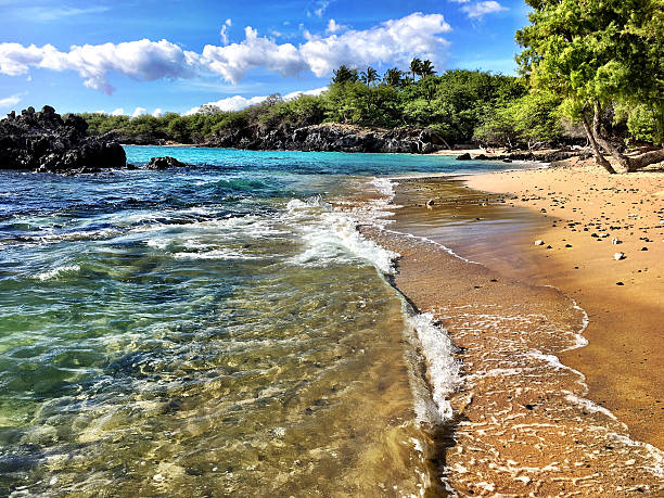 Beautiful Puako Pauko Bay, South Kohala. Big Island, Hawaii. puako petroglyphs stock pictures, royalty-free photos & images