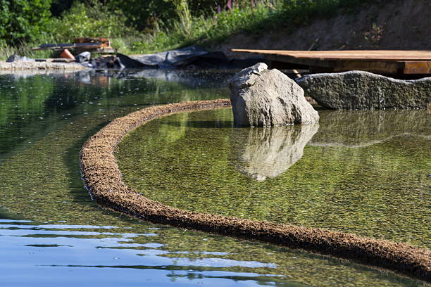 istock Textile fabric net in natural swimming pond for purifying plants 576565948