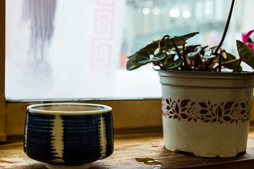 Hot Japan tea cup on wood bar beside window at snowy day, Hokkaido, Japan