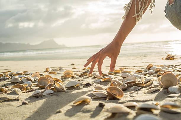 istock Close up on woman's hand picking up seashells from beach 576571852