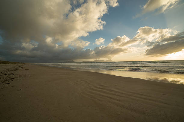 istock Wild beach in New Zealand 576573154