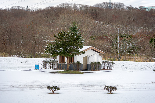 Hokkaido's winter
