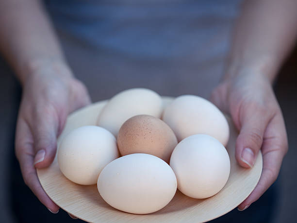 istock Plate of eggs in woman's hands 576577550