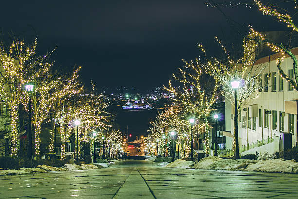 istock light of road to harbour at night in Hakodate 576578242