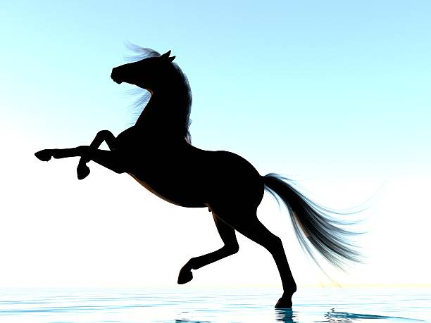 istock Silhouette of a horse 576581650