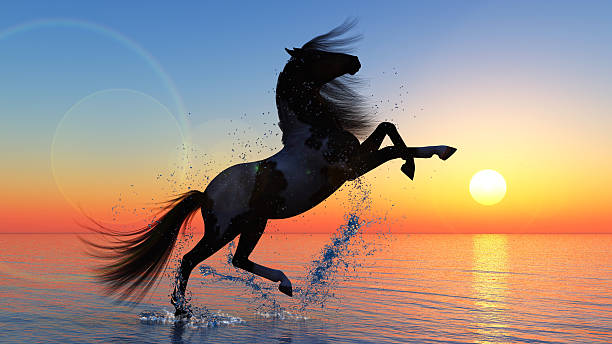 istock Horse against a sunset 576583826