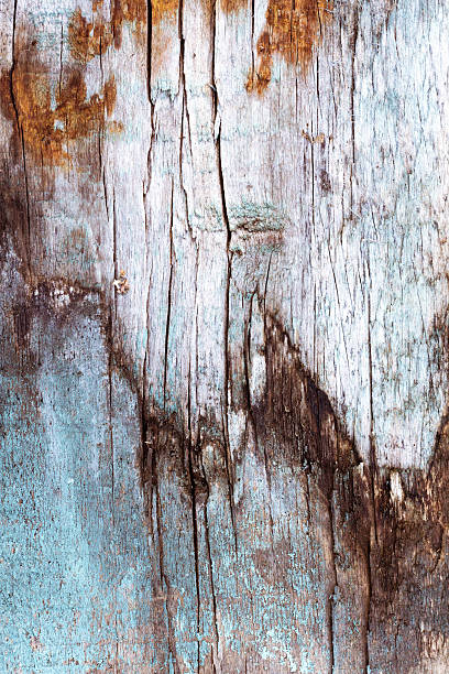 istock texture of old wood 576584334