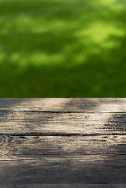 istock summer bench in green park bokeh 576585134