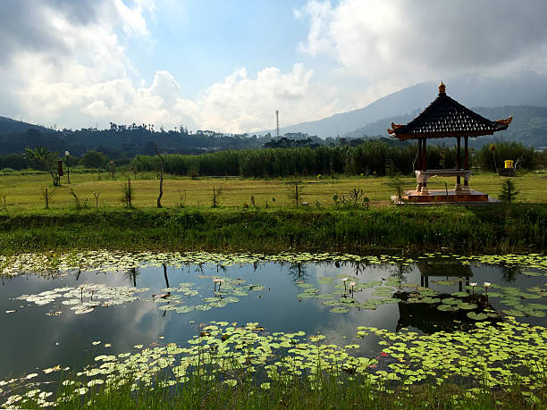 istock Pavilion with lotus pond in Bali 576587596