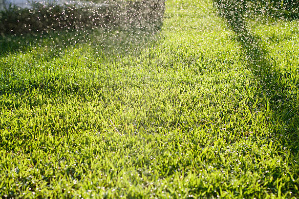 istock Water pour splashes and bokeh from watering in summer garden 576591148
