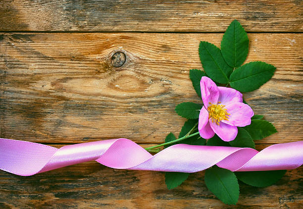 istock rosehip flower on wooden table 576592830