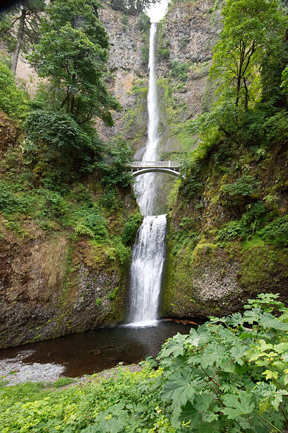 istock 611’ Multnomah Falls, Oregon, Lush Green Forest, Extreme Wide Angle 576593358
