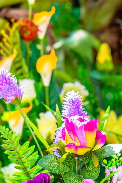 istock flowers decorative in vase 576594208
