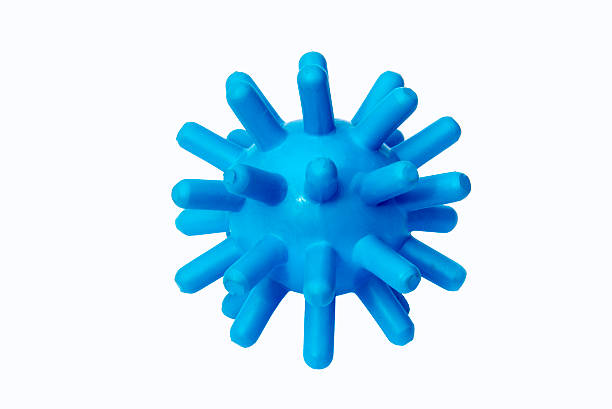 Blue rubber dog toy Blue rubber and spiky ball for dogs to play with. Image isolated on white. dog bone photos stock pictures, royalty-free photos & images