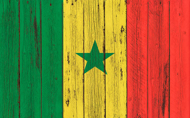 istock Flag of Senegal painted on wooden frame 576604162