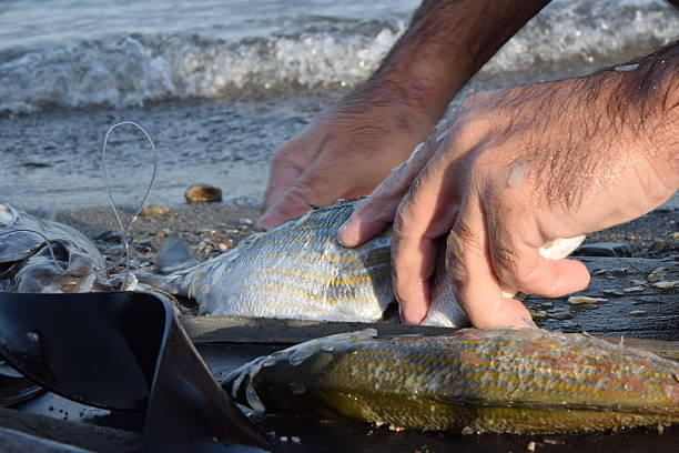 istock The fisherman 576605912