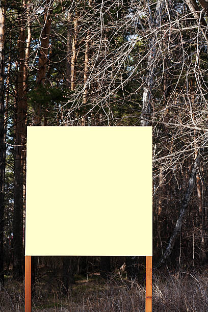 istock Old blank signboard in the woods 576606844