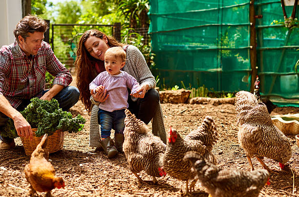 istock They're an organic family 576607936