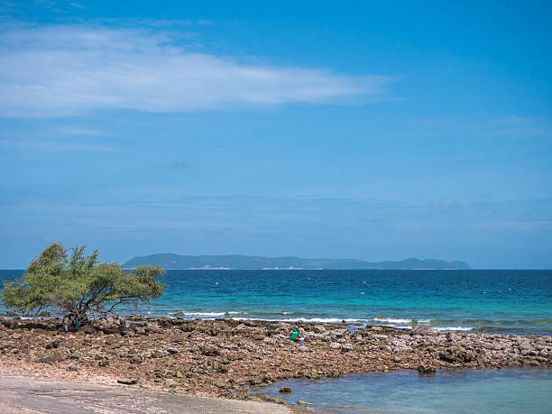 istock The Koh larn Island in Thailand 576608028