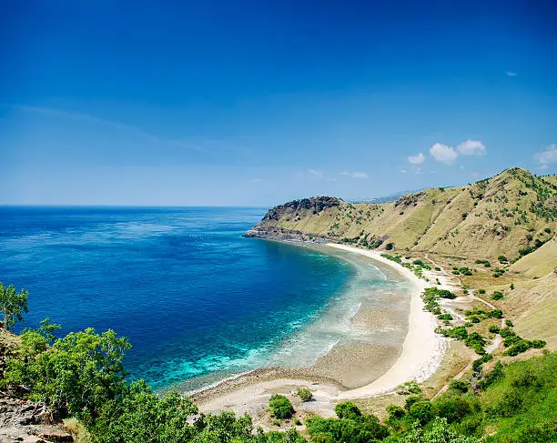 tropical paradise cristo rei beach near dili in east timor asia