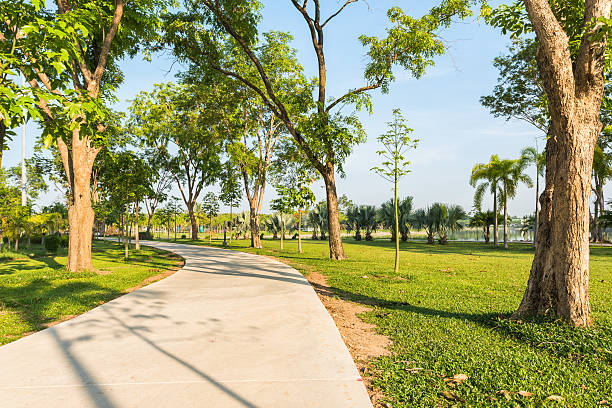 istock Concrete road at the park for jogging 576711984