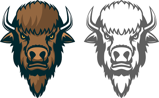 Bison head. mascot. Emblem of the sport team or club, Design element for  label, emblem, sign. Vector illustration.