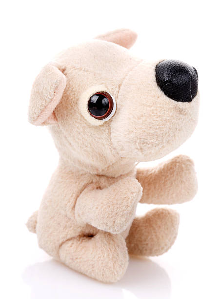 istock Children toy,Soft teddy dog 576713020