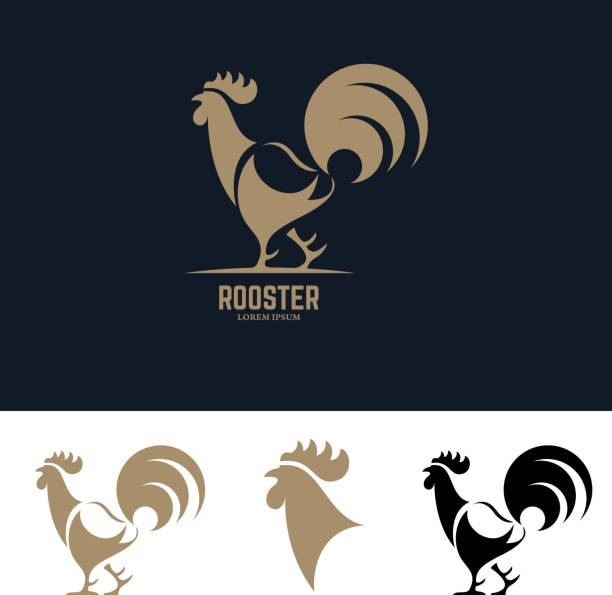 rooster silhouette illustration. rooster silhouette. Design element for label, emblem, sign, badge. Vector illustration. crazy chicken stock illustrations